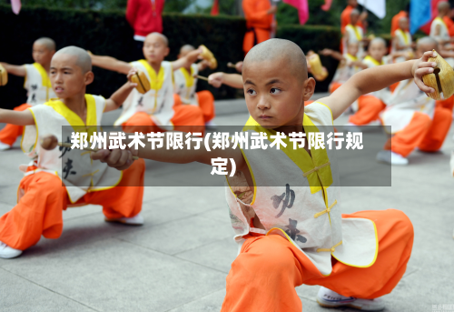 郑州武术节限行(郑州武术节限行规定)-第2张图片