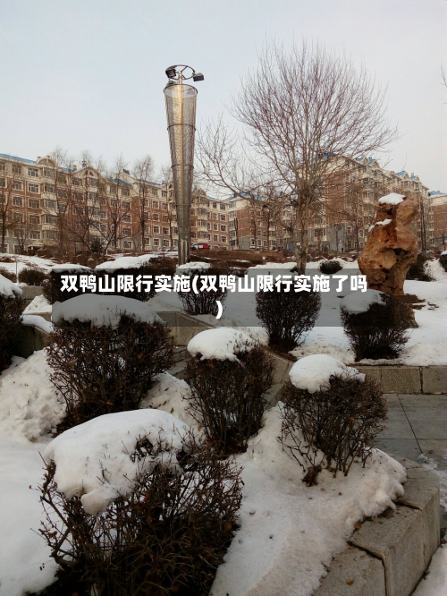 双鸭山限行实施(双鸭山限行实施了吗)