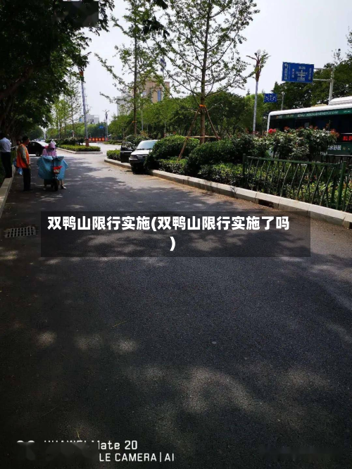 双鸭山限行实施(双鸭山限行实施了吗)-第3张图片