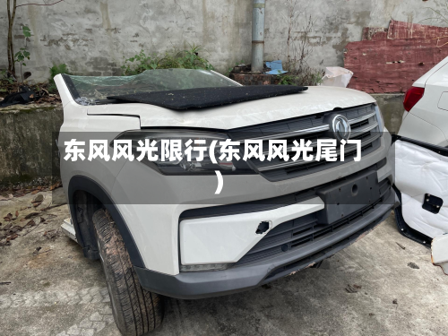 东风风光限行(东风风光尾门)-第2张图片
