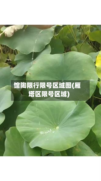 馆陶限行限号区域图(雁塔区限号区域)