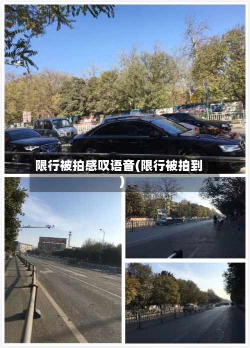 限行被拍感叹语音(限行被拍到)-第2张图片