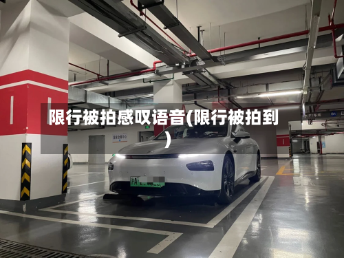 限行被拍感叹语音(限行被拍到)