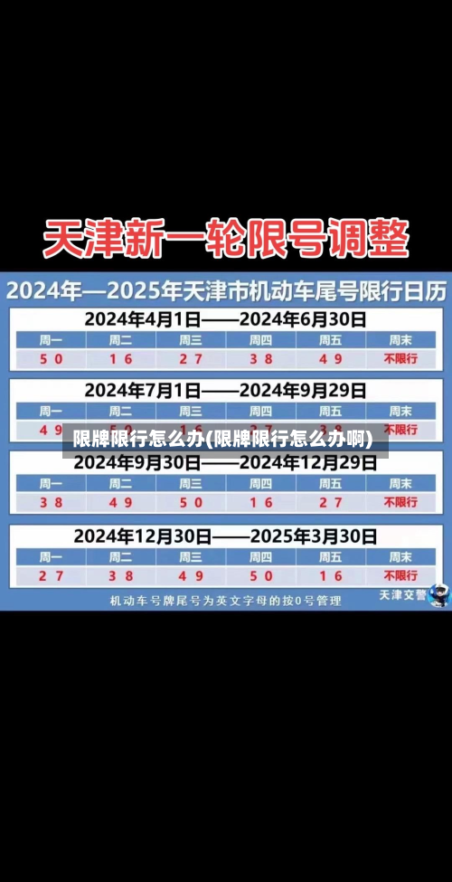 限牌限行怎么办(限牌限行怎么办啊)