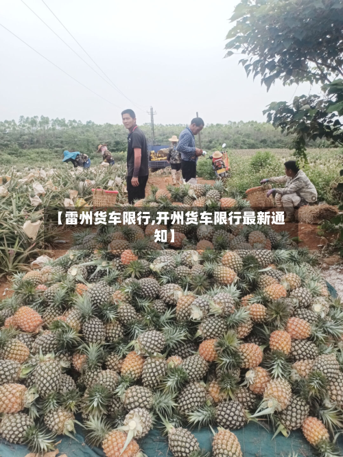 【雷州货车限行,开州货车限行最新通知】