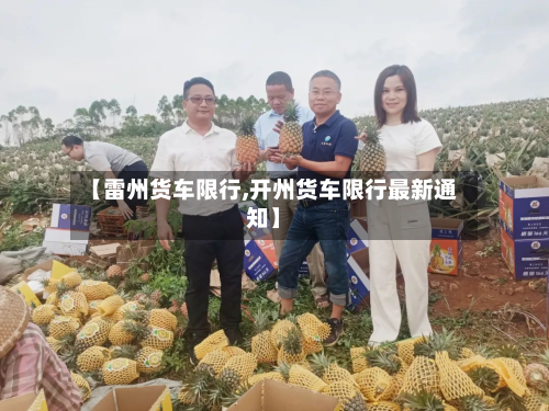 【雷州货车限行,开州货车限行最新通知】-第3张图片