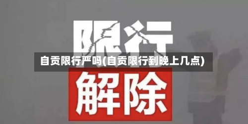 自贡限行严吗(自贡限行到晚上几点)-第3张图片