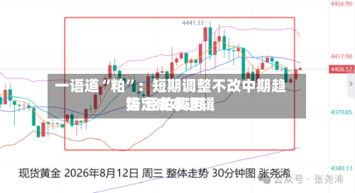 一语道“粕	”：短期调整不改中期趋势 豆粕费用锚定成本逻辑-第2张图片