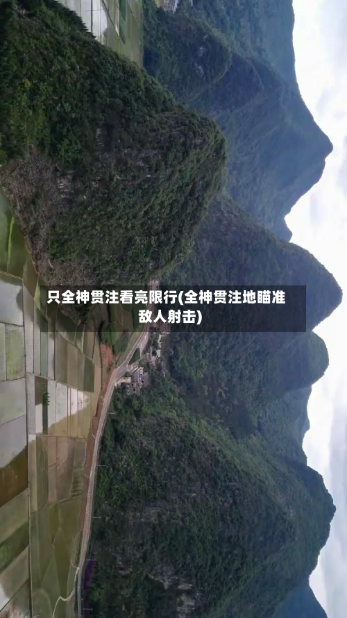 只全神贯注看亮限行(全神贯注地瞄准敌人射击)