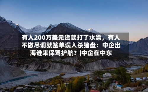 有人200万美元货款打了水漂，有人不做尽调就签单误入杀猪盘：中企出海谁来保驾护航？|中企在中东-第3张图片