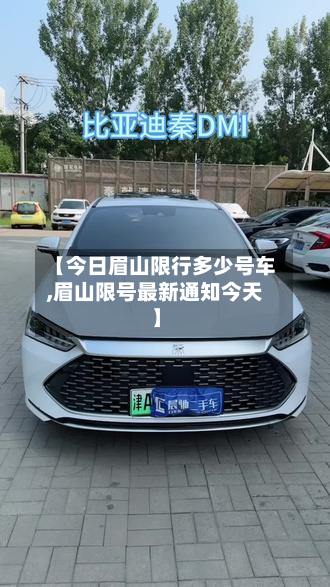 【今日眉山限行多少号车,眉山限号最新通知今天】-第2张图片