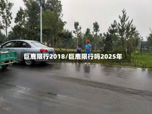 巨鹿限行2018/巨鹿限行吗2025年