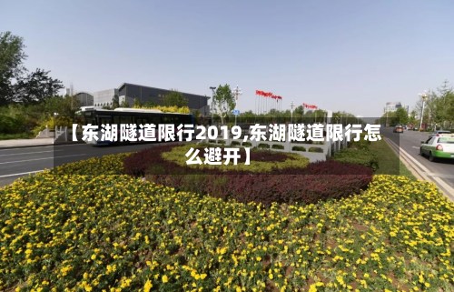 【东湖隧道限行2019,东湖隧道限行怎么避开】