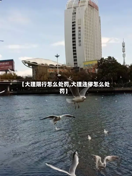 【大理限行怎么处罚,大理违停怎么处罚】-第2张图片