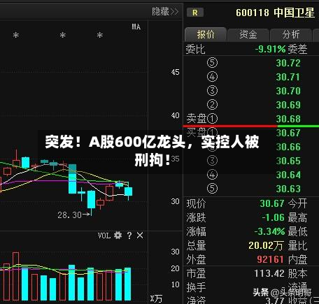 突发!A股600亿龙头,实控人被刑拘!