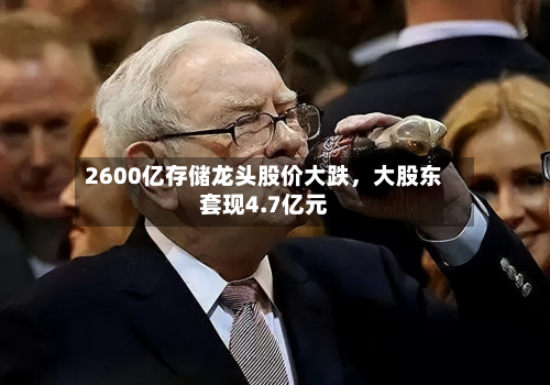 2600亿存储龙头股价大跌,大股东套现4.7亿元