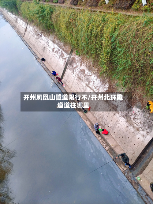 开州凤凰山隧道限行不/开州北环隧道道往哪里