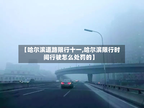 【哈尔滨道路限行十一,哈尔滨限行时间行驶怎么处罚的】-第2张图片