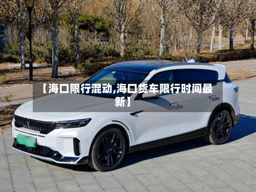 【海口限行混动,海口货车限行时间最新】-第3张图片