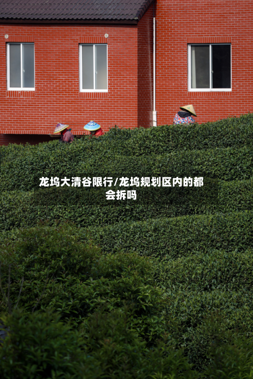 龙坞大清谷限行/龙坞规划区内的都会拆吗