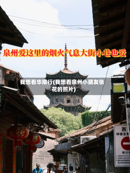 我想看华限行(我想看泉州小朋友张花的照片)-第2张图片