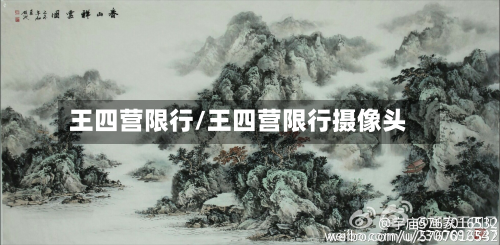 王四营限行/王四营限行摄像头