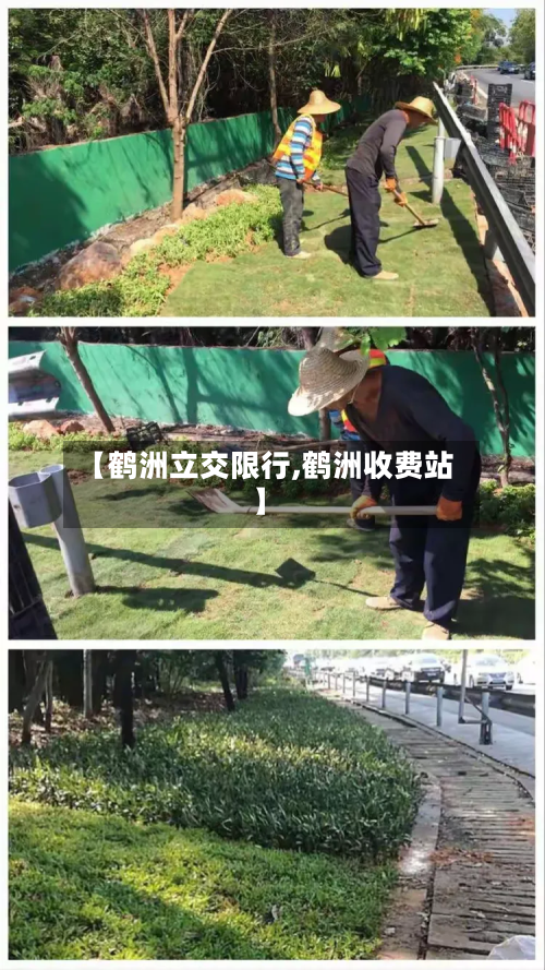 【鹤洲立交限行,鹤洲收费站】-第3张图片