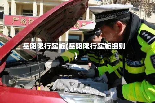 岳阳限行实施(岳阳限行实施细则)