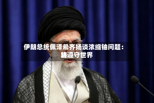 伊朗总统佩泽希齐扬谈浓缩铀问题:将遵守世界
法