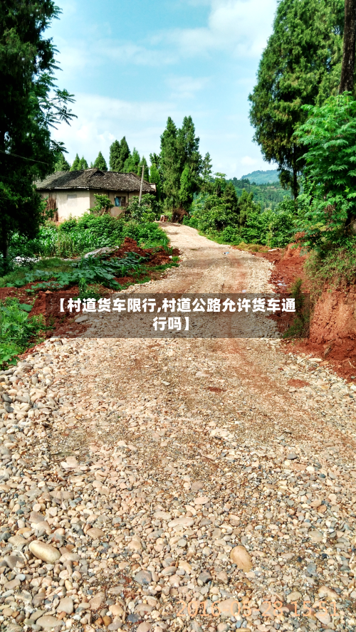 【村道货车限行,村道公路允许货车通行吗】
