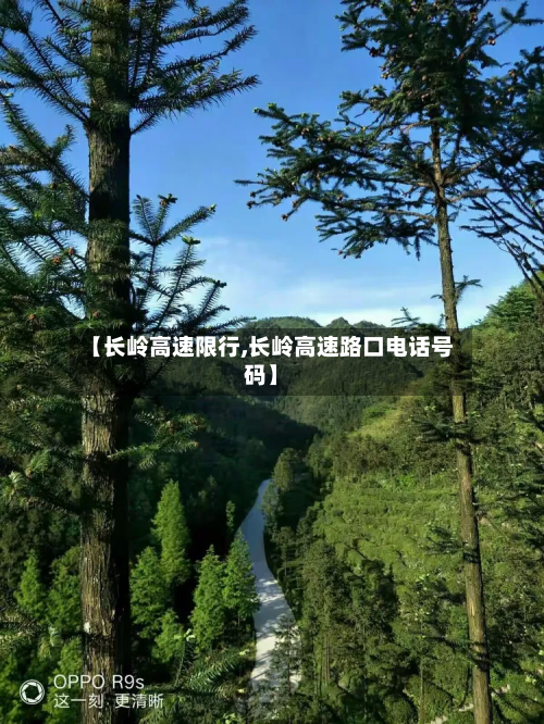 【长岭高速限行,长岭高速路口电话号码】