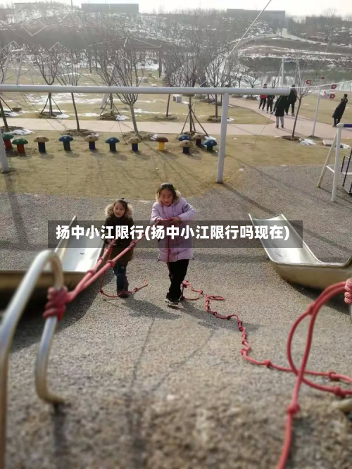 扬中小江限行(扬中小江限行吗现在)-第3张图片