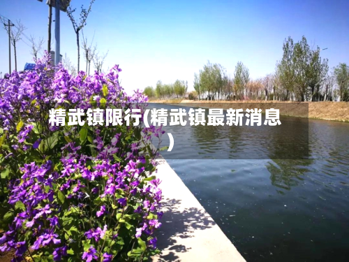 精武镇限行(精武镇最新消息)-第2张图片