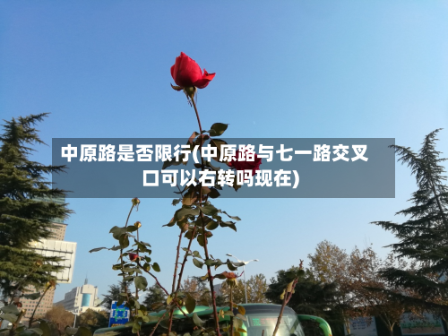 中原路是否限行(中原路与七一路交叉口可以右转吗现在)