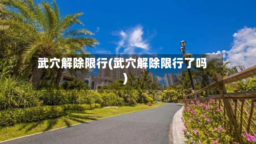 武穴解除限行(武穴解除限行了吗)