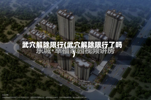 武穴解除限行(武穴解除限行了吗)-第3张图片