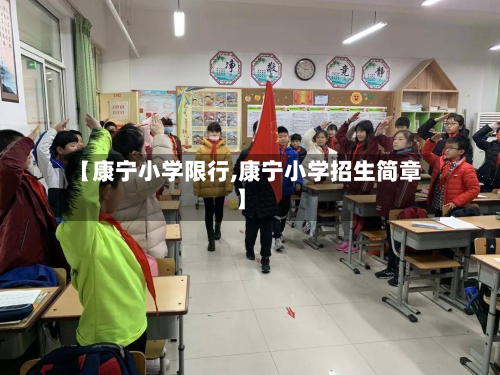 【康宁小学限行,康宁小学招生简章】-第2张图片