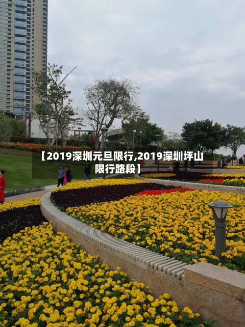 【2019深圳元旦限行,2019深圳坪山限行路段】