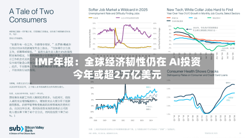 IMF年报:全球经济韧性仍在 AI投资今年或超2万亿美元