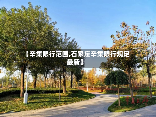 【辛集限行范围,石家庄辛集限行规定最新】-第2张图片
