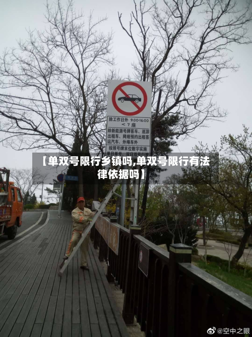【单双号限行乡镇吗,单双号限行有法律依据吗】-第3张图片