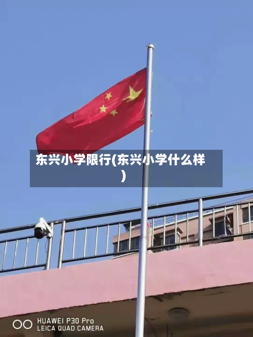 东兴小学限行(东兴小学什么样)