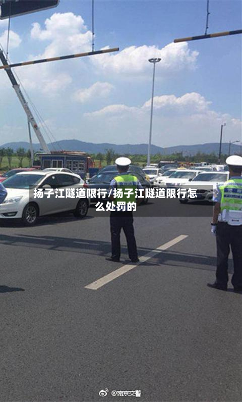 扬子江隧道限行/扬子江隧道限行怎么处罚的