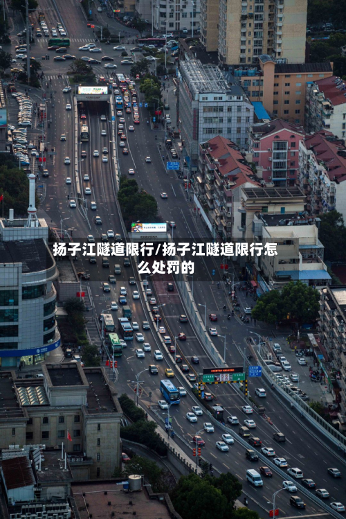 扬子江隧道限行/扬子江隧道限行怎么处罚的-第2张图片