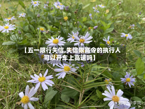 【五一限行失信,失信限高令的执行人可以开车上高速吗】-第3张图片