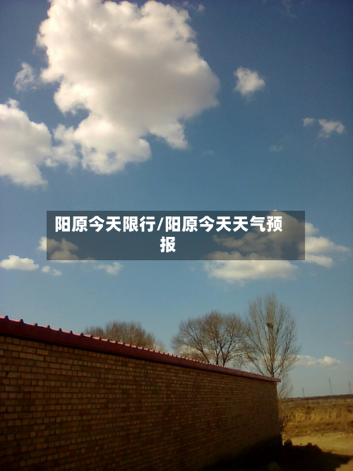 阳原今天限行/阳原今天天气预报