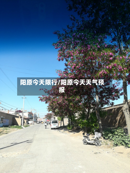 阳原今天限行/阳原今天天气预报-第2张图片