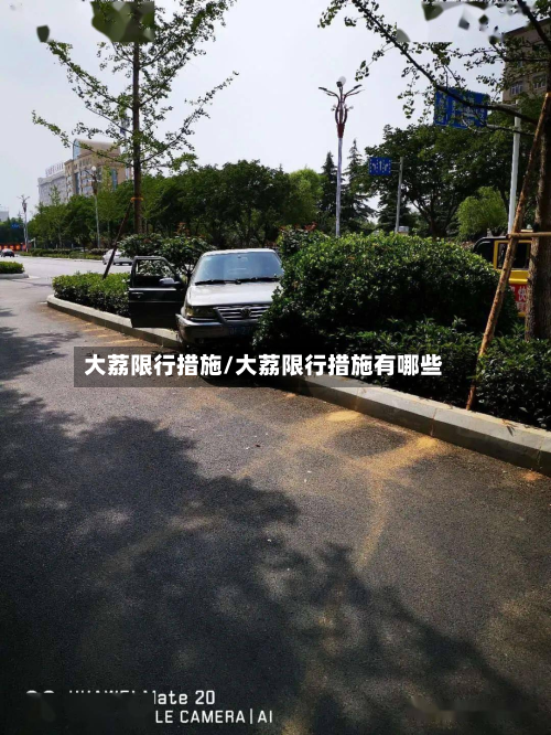 大荔限行措施/大荔限行措施有哪些