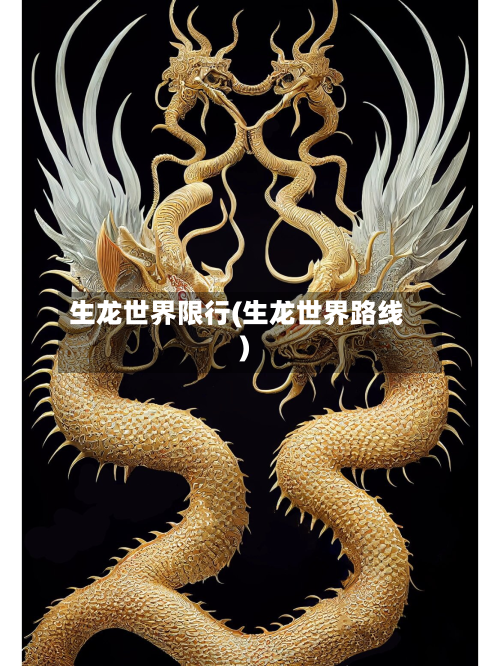 生龙世界限行(生龙世界路线)
