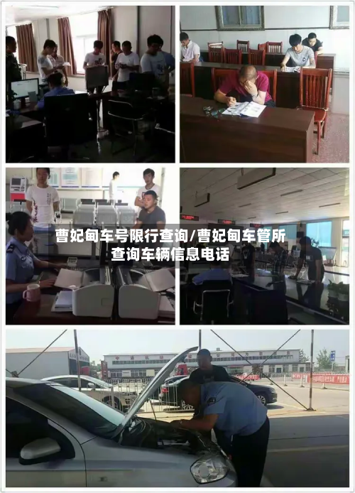 曹妃甸车号限行查询/曹妃甸车管所查询车辆信息电话